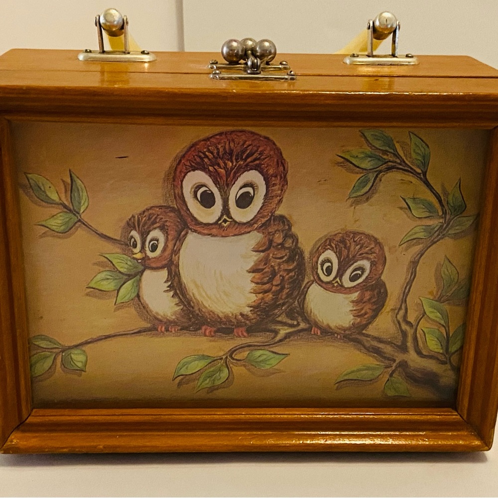 Bring back the 70’s! Wooden Box Purse with Owls.